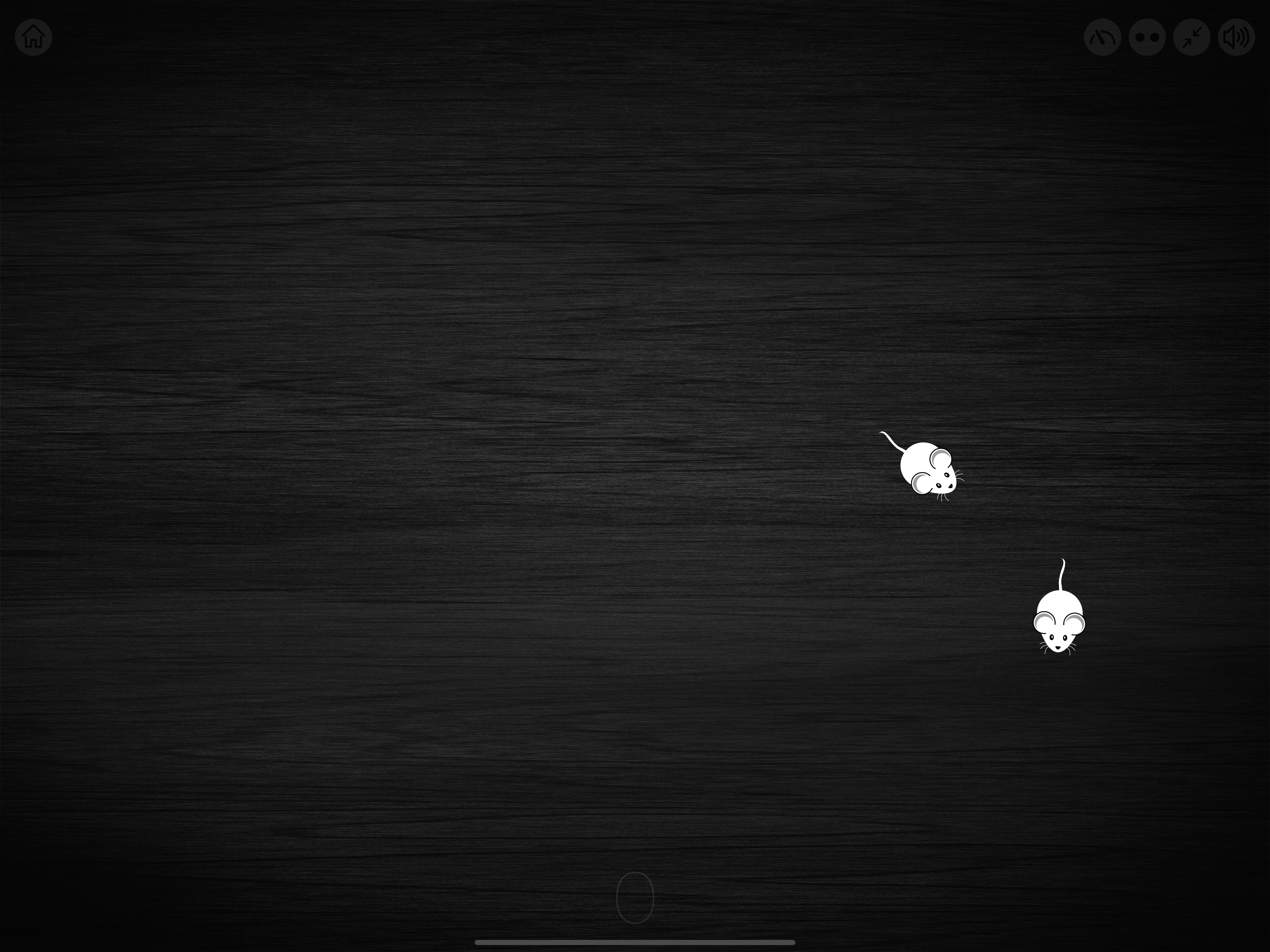 Game for cats! screenshot 9