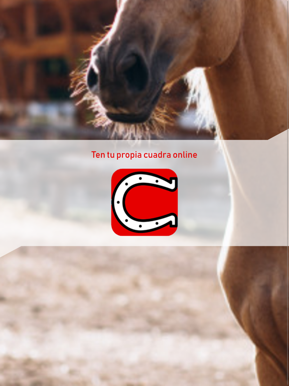 CUADRA: your horse box online