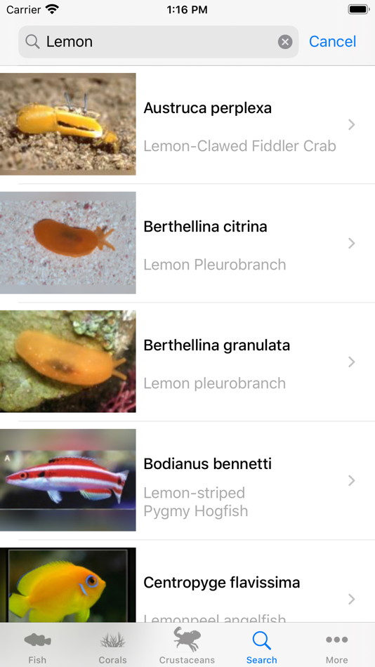 #4. Reeflex.net (iOS) 来自: Peter Nickel
