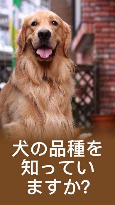犬 しつけ - 犬 翻訳 - いぬのきもち - 犬の気持ちのおすすめ画像1