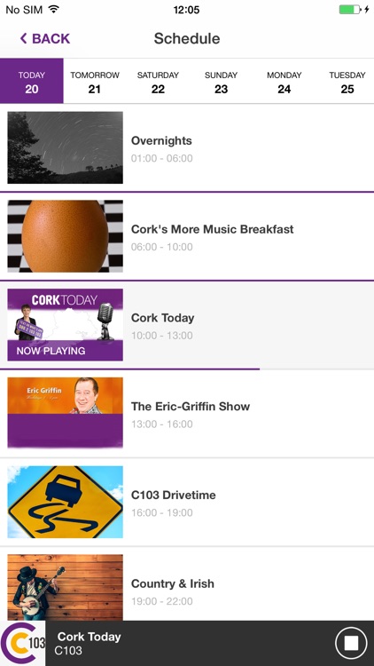 C103 Cork
