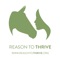 Reason to Thrive is a registered charity and public benevolent institution, founded in 2017 to provide life and social skills programs utilising equine assisted learning activities