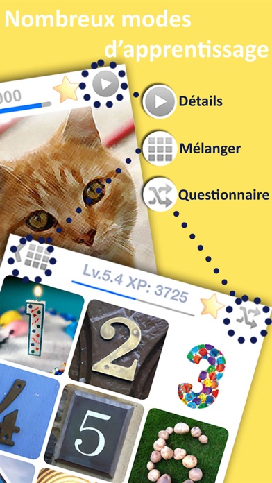 Screenshot #2 pour LingoCards Langue en français