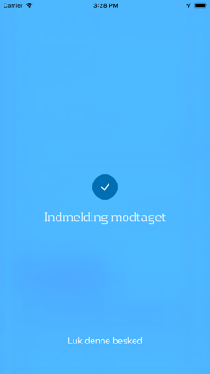 Check Udvej screenshot 3