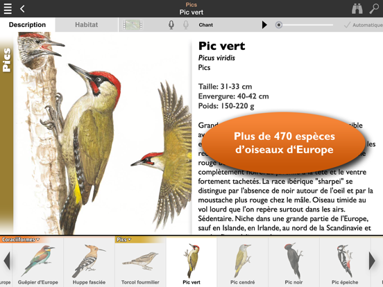 Screenshot #4 pour Oiseaux d’Europe