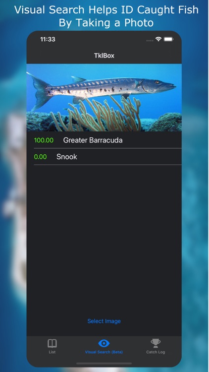 TklBox - Florida
