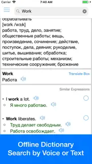 russian translator offline iphone screenshot 3