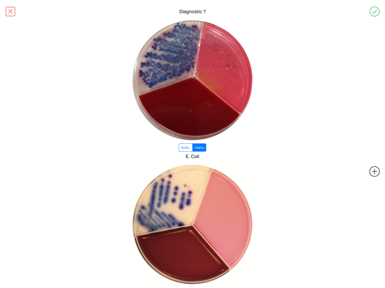 Screenshot #6 pour Vetorapid