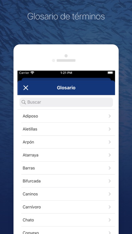 MarViva: Guía Semáforo screenshot-4