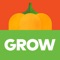 The GROW Garden app pairs with the GROW Duo planter to automatically water your edible garden and give you simple, step-by-step instructions and reminders on caring for your plants - including what to plant, when to plant it and how to look after it