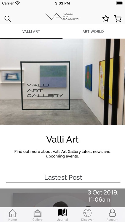 Valli Art screenshot-3