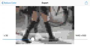 Photo Pixelizer screenshot 1
