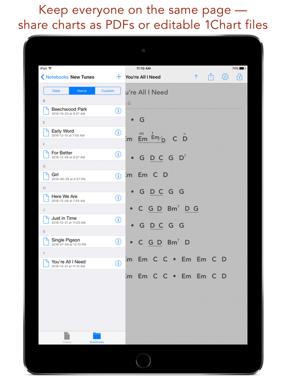 1Chart iPad screenshot 4 - Productivity app