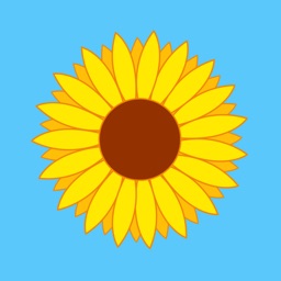 Flower Identity