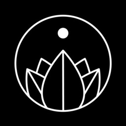Black Lotus Yoga