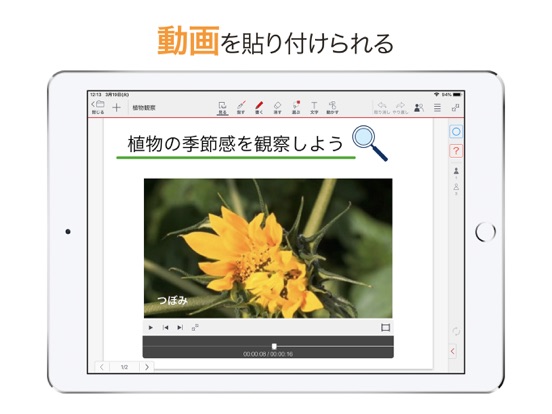 MetaMoJi ClassRoom iPad screenshot 6