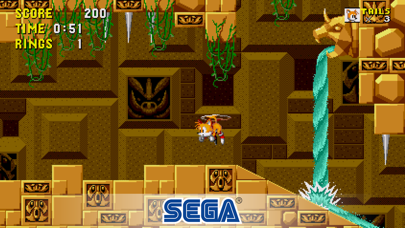 Screenshot from Sonic The Hedgehog Classic