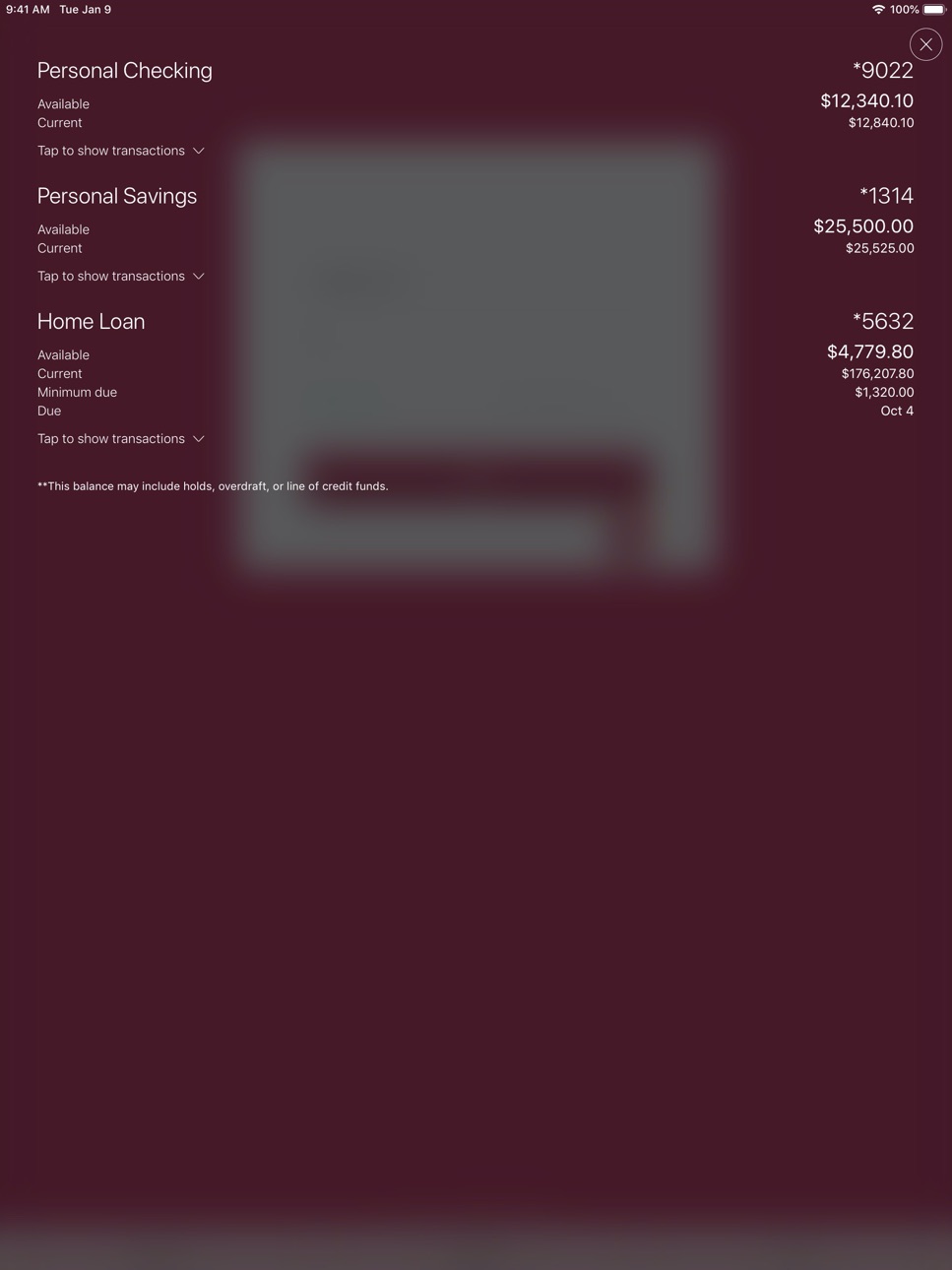 iPad screenshot