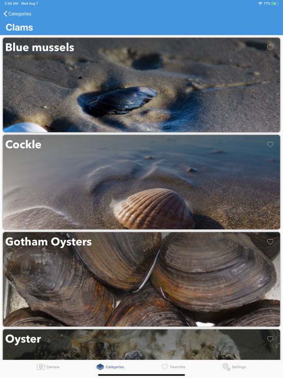 Beach Detector - Your guide iPad screenshot