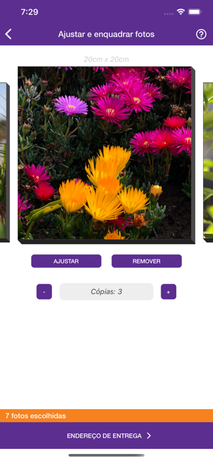 EasyFotoBrasil(圖5)-速報App