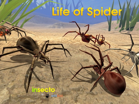 Life Of Spider iPad screenshot 4 - Games app