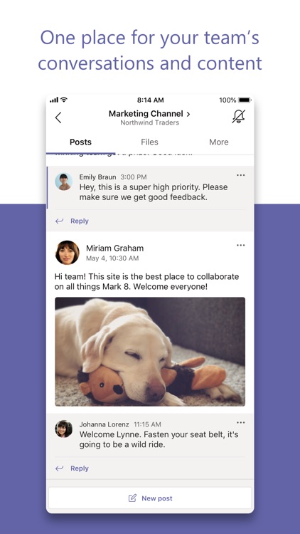 Microsoft Teams screenshot-4