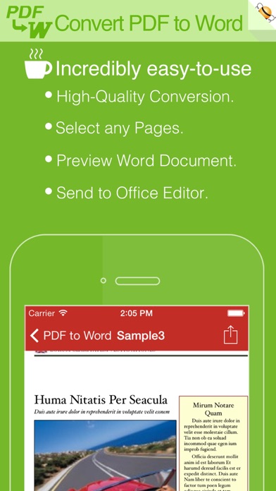 PDF to Word Screenshot