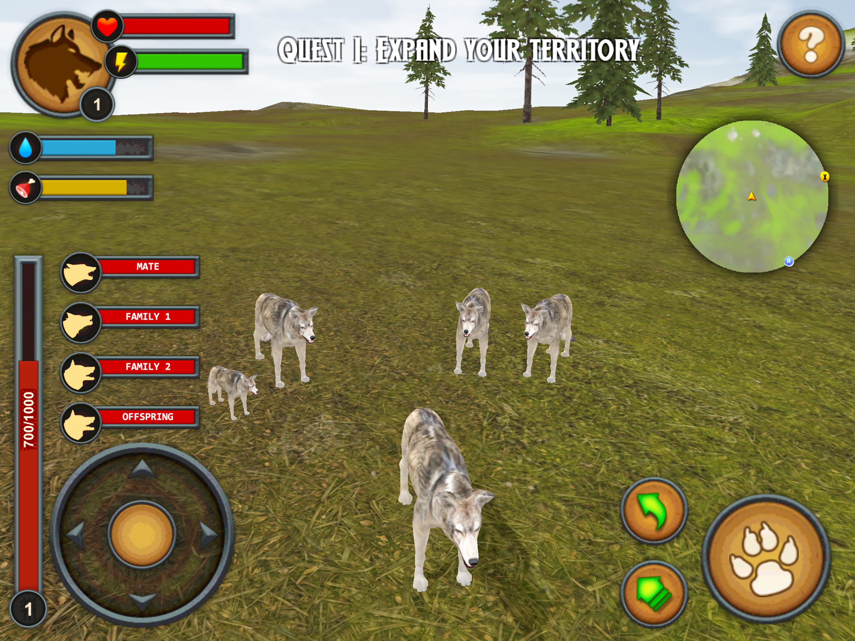 Wolves of the Forest