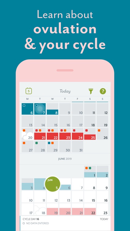 Clue Period & Cycle Tracker