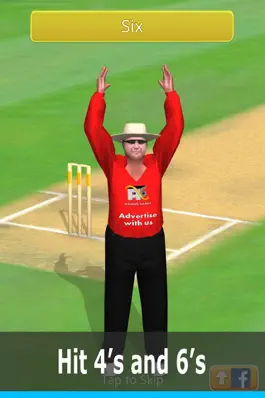 Game screenshot Smashing Cricket: cricket game apk