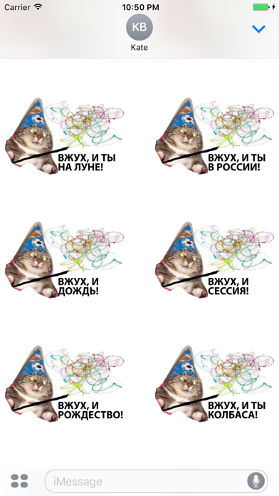 Vzhuh Cat Memes Screenshot