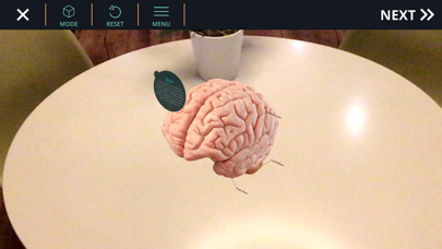 AnatomyAR+ for Merge Cube Screenshot