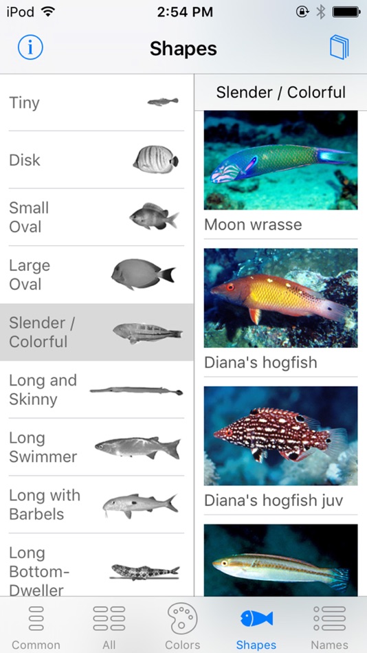 #8. Oman Fish ID (iOS) 由: John P. Hoover