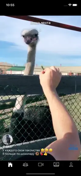 Game screenshot Globlee mod apk