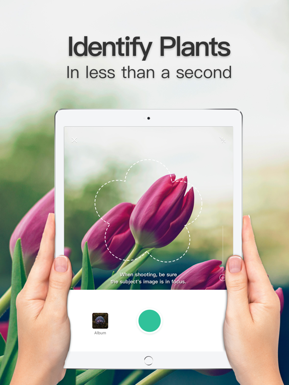 iPad Image of PictureThis - Plant Identifier
