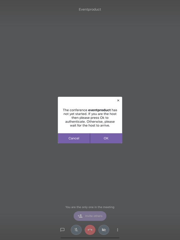 VideoMeet - Audio/Video iPad screenshot 4 - Productivity app