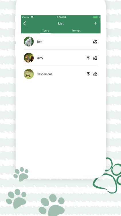 Pet pregnancy plan-Pet baby