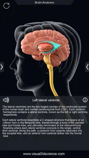 my brain anatomy iphone resimleri 4
