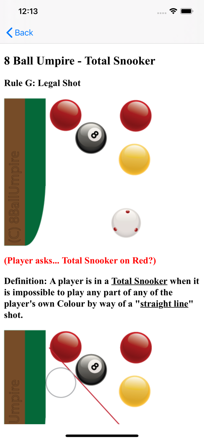 8 Ball Umpire Referee  Rules