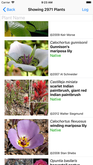 Screenshot #2 pour Utah Wildflowers