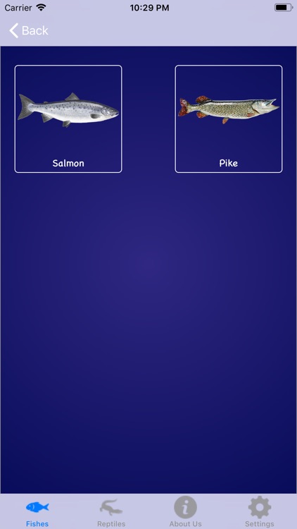 Inside Ocean screenshot-3