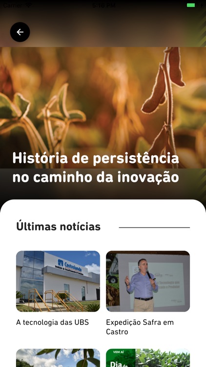 Sementes Castrolanda