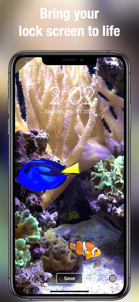 Aquarium Dynamic Wallpapers - 잠금 화면에 파란색 탱과 귀여운 흰동가리가 아름다운 산호초 사이를 유영하는 모습을 담아 생동감 있고 매혹적인 해양 분위기를 연출합니다.