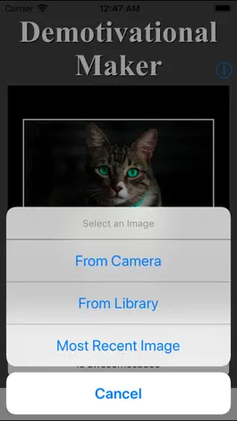 Game screenshot Demotivational Maker apk