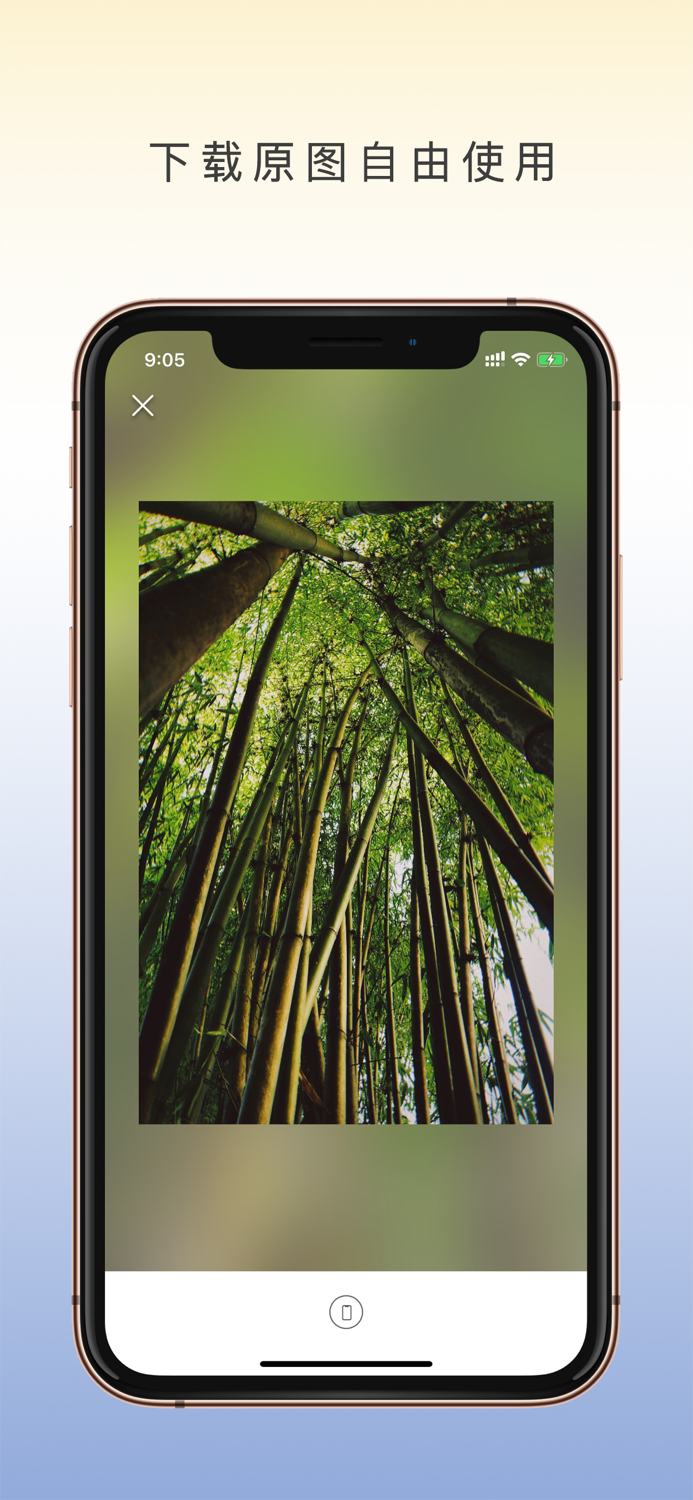 西柚壁纸 - 创意摄影与绘画插画