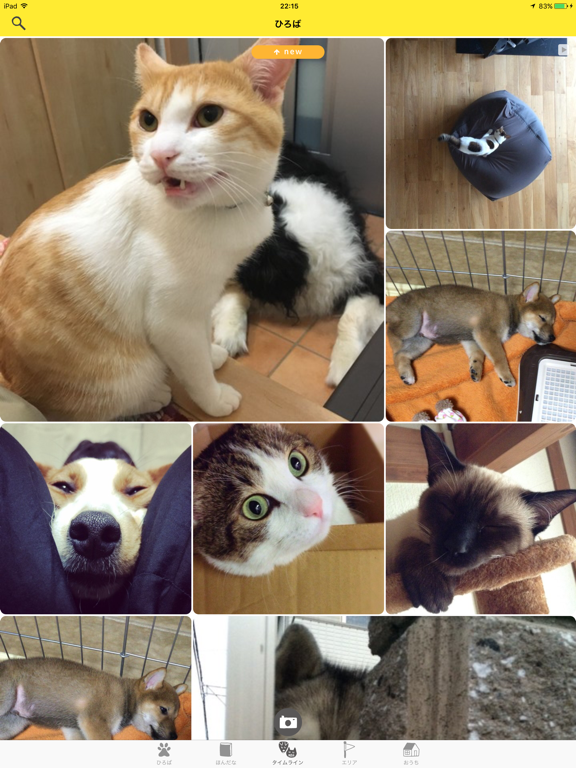 Screenshot #4 pour Dokonoko - Dogs&Cats Photo App