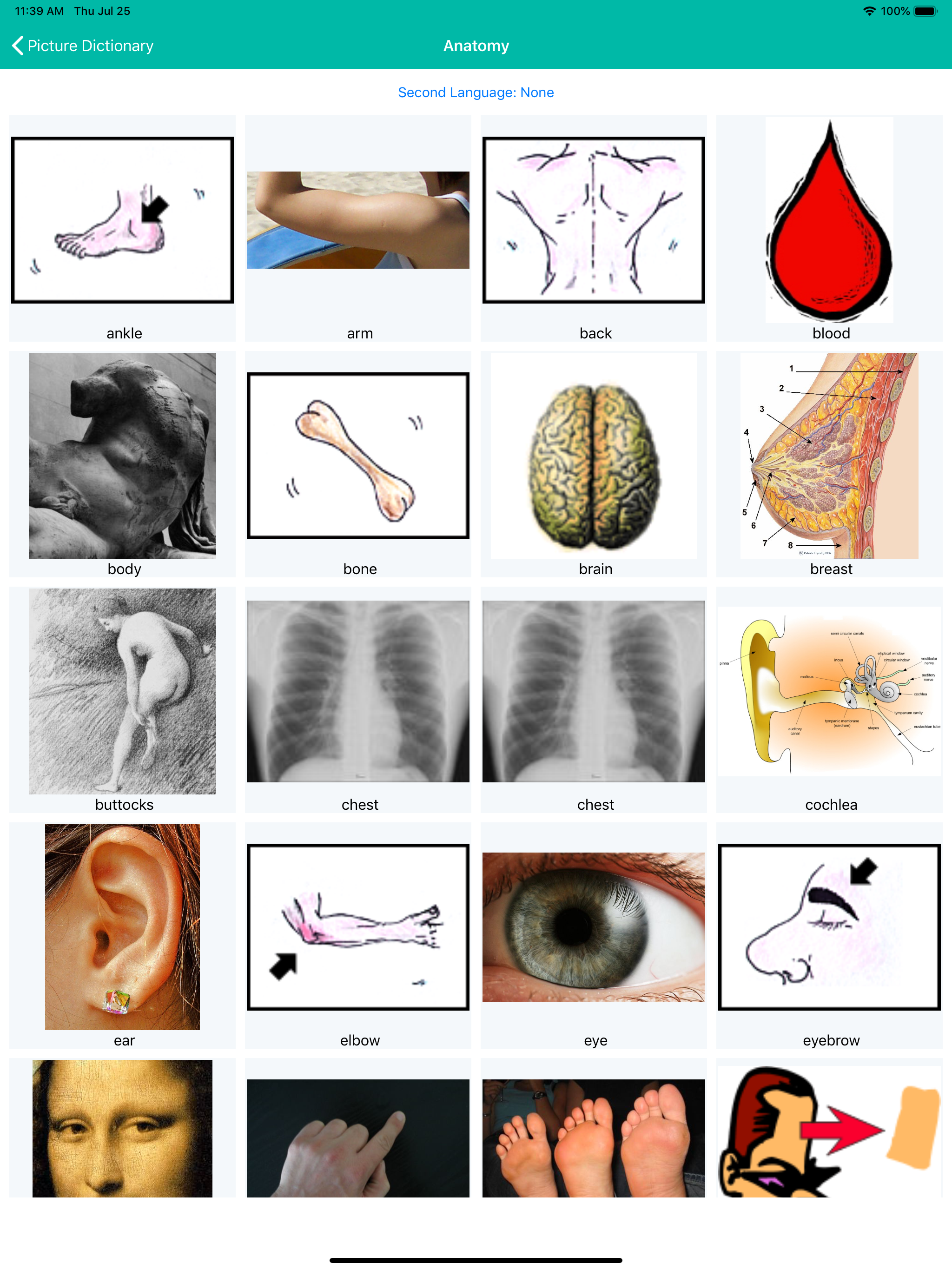 Dictionary with pictures