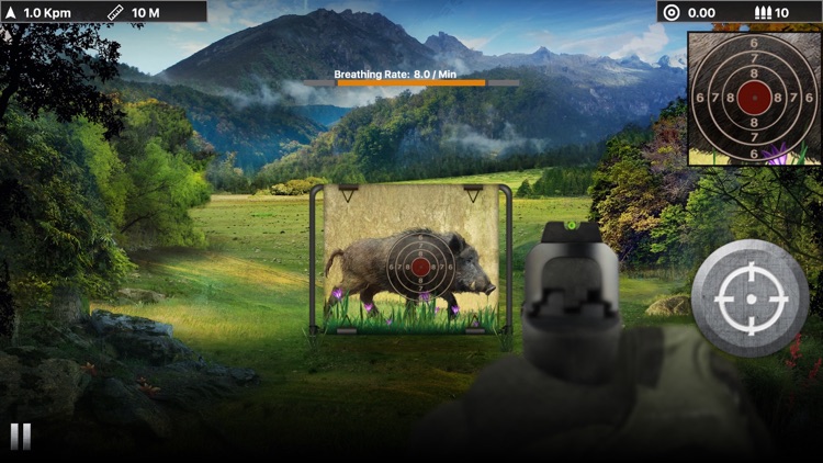 Wild Boar Target Shooting