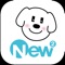 聯邦New New Bank服務特色