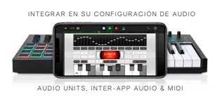 Captura 9 Voice Synth Modular iphone